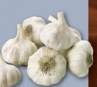 REWE Center Knoblauch Angebot