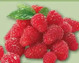 REWE Center Himbeeren Angebot