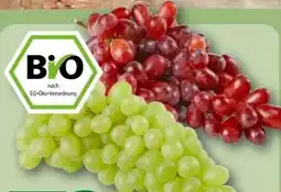 REWE Center Rewe Bio Bio-Tafeltrauben Angebot