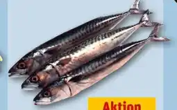 REWE Center Makrelen Angebot