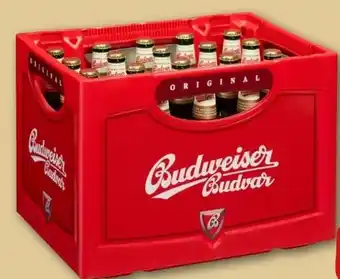 REWE Center Budweiser Budvar (CZ) Czech Premium Lager Angebot