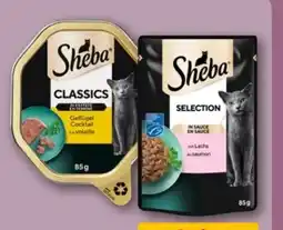 REWE Center Sheba Katzennahrung Angebot