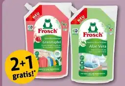 REWE Center Frosch Flüssig-Waschmittel Angebot