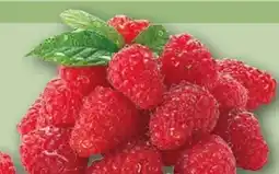 REWE Himbeeren Angebot