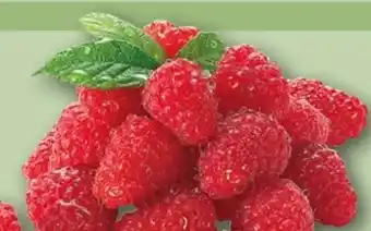 REWE Himbeeren Angebot