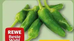 REWE Rewe Beste Wahl Bratpaprika Grün Angebot