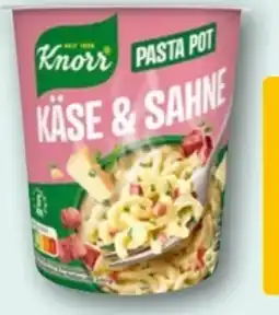 REWE Knorr Pasta Snack Pot Angebot