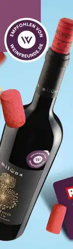 REWE Miluna Primitivo Salento Angebot