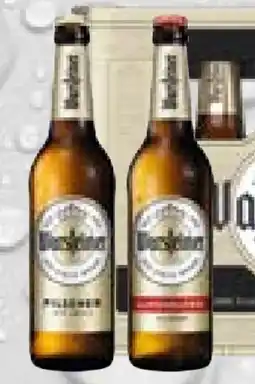 trinkgut Warsteiner Pilsener Angebot