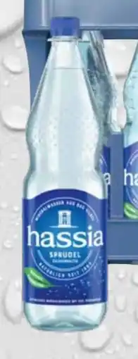 trinkgut Hassia Mineralwasser Angebot