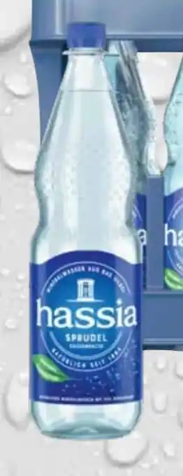 trinkgut Hassia Mineralwasser Angebot