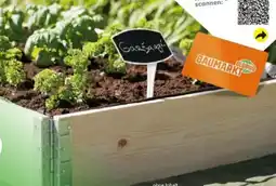 Globus Baumarkt Upyard Kräuterkasten Angebot
