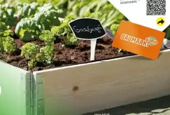 Globus Baumarkt Upyard Kräuterkasten Angebot