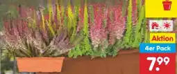 Netto Marken-Discount Dreifarbige Calluna Angebot