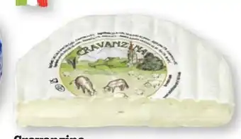 Scheck-in-Center Alta Langa Cravanzina Angebot