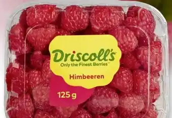 Scheck-in-Center Driscoll's Himbeeren Angebot