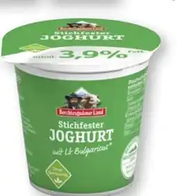 Scheck-in-Center Berchtesgadener Land Stichfester Joghurt Angebot