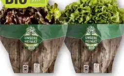 Scheck-in-Center Unsere Heimat Echt & Gut Bio Bunte Salate Angebot