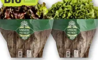 Scheck-in-Center Unsere Heimat Echt & Gut Bio Bunte Salate Angebot