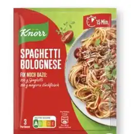 Scheck-in-Center Knorr Fix Produkte Angebot