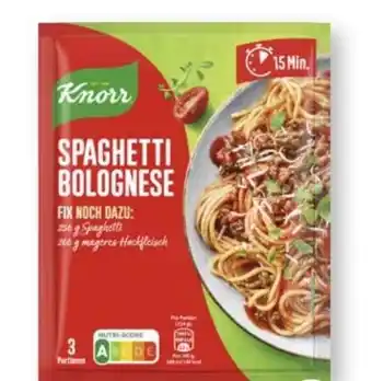 Scheck-in-Center Knorr Fix Produkte Angebot