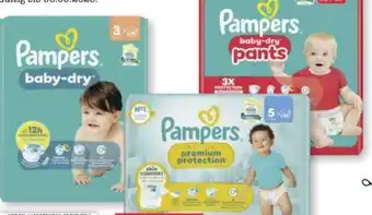 Scheck-in-Center Pampers Baby-Dry Windeln Angebot