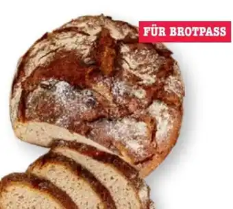 Scheck-in-Center Edeka Bäckerei Urbrot Angebot