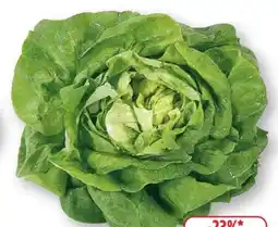 Edeka Unsere Heimat Echt & Gut Kopfsalat Angebot