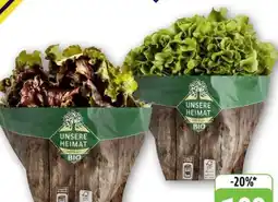 Edeka Unsere Heimat Echt & Gut Bio Bunte Salate Angebot