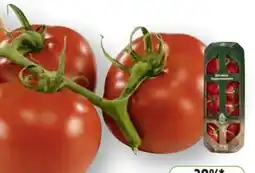 Edeka Unsere Heimat Echt & Gut Bio Mini Rispentomaten Angebot