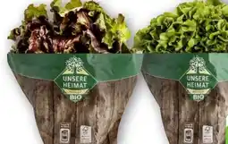Edeka Unsere Heimat Bio Bunte Salate Angebot