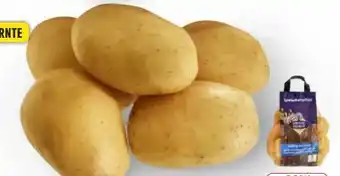 Edeka Unsere Heimat Echt & Gut Speisekartoffeln Angebot