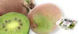 Edeka Nergi Mini Kiwis Angebot