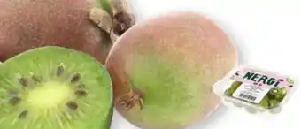 Edeka Nergi Mini Kiwis Angebot