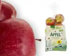 Edeka Edeka Bio Tafeläpfel Santana Angebot