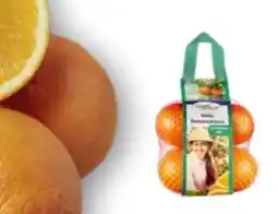 Edeka SanLucar Orangen Angebot
