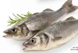 Edeka Wolfsbarsch Loup de Mer Angebot