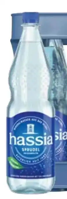 Edeka Hassia Mineralwasser Angebot