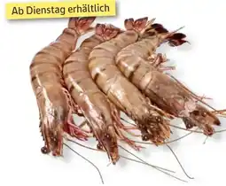 Edeka Seawater Black Tiger Garnelen 8/12 Angebot