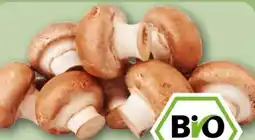REWE Center Rewe Bio Champignons Angebot