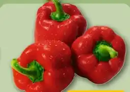 REWE Center Rote Paprika Angebot