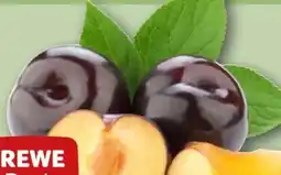 REWE Rewe Beste Wahl Pflaumen Angebot