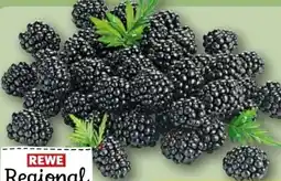REWE Rewe Regional Brombeeren Angebot