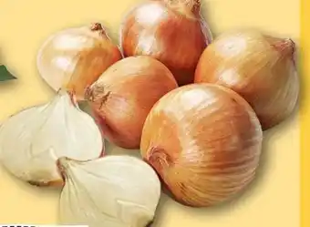 REWE Rewe Regional Zwiebeln Angebot