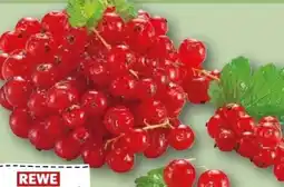 REWE Rewe Regional Johannisbeeren Angebot
