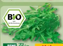 REWE Rewe Bio Bio-Rucola Angebot