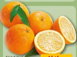 REWE Orangen Angebot