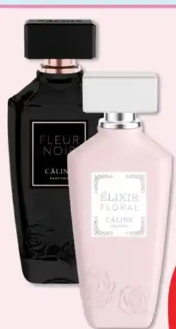 Budni Câline Fleur Noir EdP Angebot