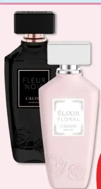 Budni Câline Fleur Noir EdP Angebot