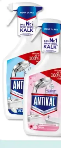 Budni Antikal Entkalker Angebot